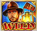 Book Of Gold Wild